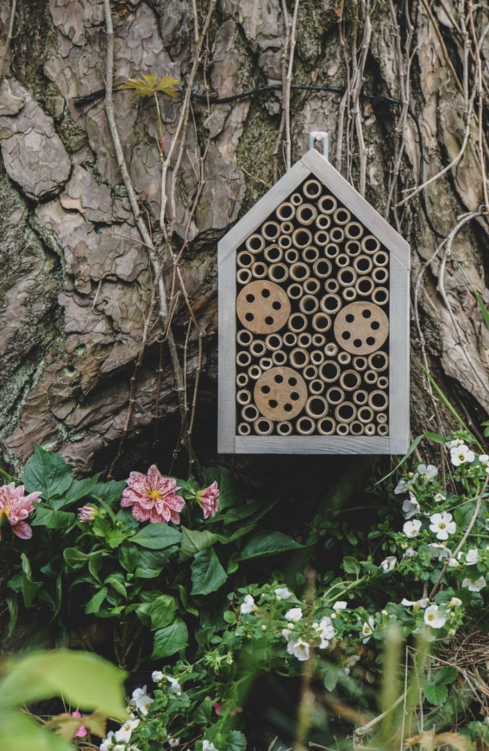 Moderne „Insektenscheune“
