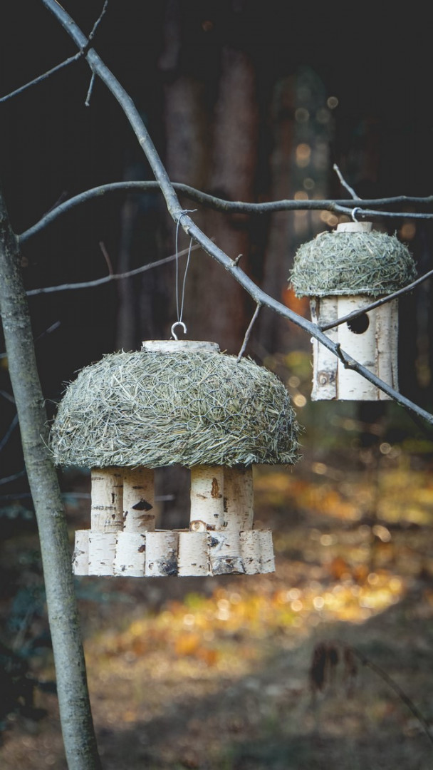 Futterhäuschen und Nistkästen für Vögel